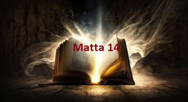 Kutsal Kitap Matta 14