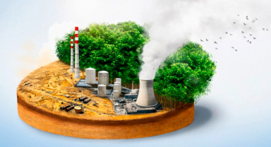 Sera Gazları Nelerdir