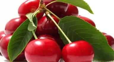 Vişne İle İlgili Sözler