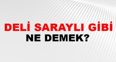Deli Saraylı Ne Demek?
