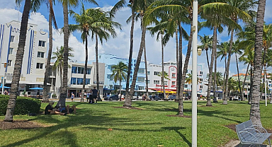 Miami'nin İkonu: Colony Oteli