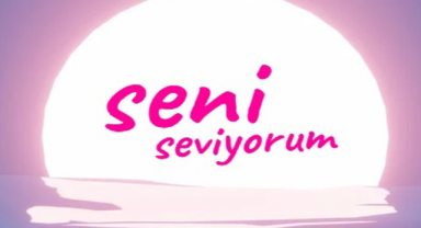 Seni Seviyorum Sözleri