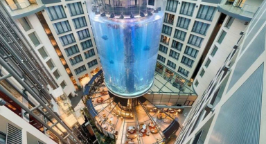 AquaDom: Akvaryumun Yükselişi ve Çöküşü