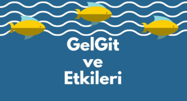 GelGit ve Etkileri