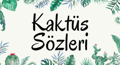 Kaktüs ile İlgili Sözler