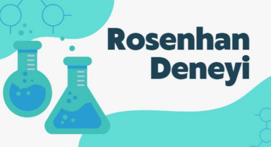 Rosenhan Deneyi
