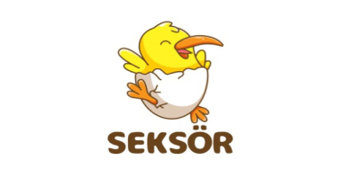 Seksör Nedir?