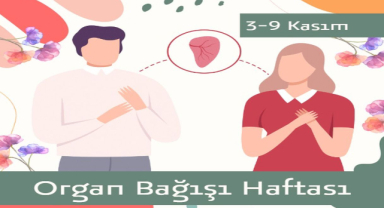 Organ Bağışı ve Nakli Haftası Nedir? Hayat Kurtaran Bağışın Önemi