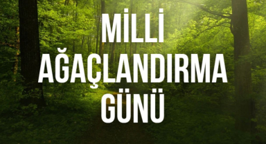 Türkiye’nin Yeşil Geleceği İçin Milli Ağaçlandırma Günü ve Ağaçlandırma Çalışmaları