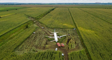 Ural Airlines Flight 178 Kazası: Kuş Çarpması Sonrası Mucize Acil İniş