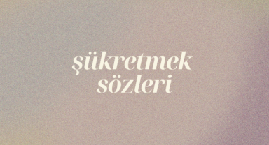 Şükretmek İle İlgili Sözler