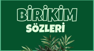Birikim Sözleri