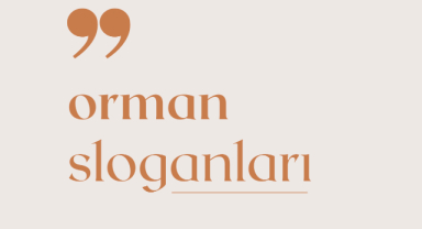 Orman Sloganları
