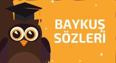 Baykuş İle İlgili Sözler