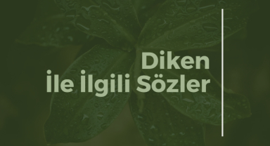 Diken İle İlgili Sözler