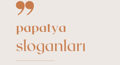 Papatya Sloganları