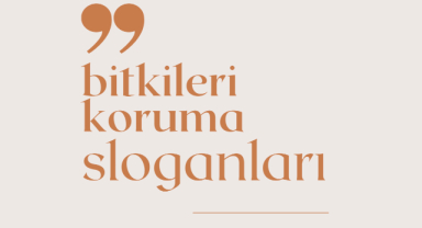 Bitkileri Koruma İle İlgili Sloganlar