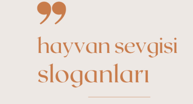 Hayvan Sevgisi İle İlgili Sloganlar