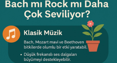 Bitkilerin Müziğe Tepkisi: Hangi Müzik Türü Bitkileri Etkiliyor?