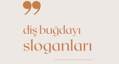 Diş Buğdayı İle İlgili Sloganlar