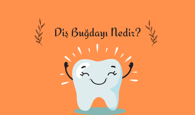 Diş Buğdayı Nedir, Neden Yapılır?