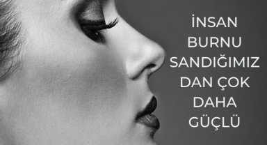 İnsan Burnu Sandığımızdan Çok Daha Güçlü