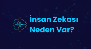 İnsan Zekası Neden Var? Evrimsel Kökenleri ve Önemi