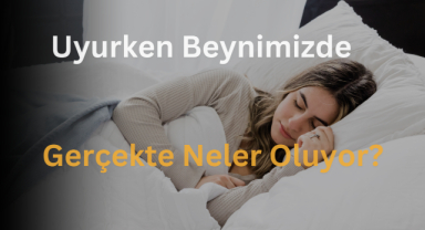 Uyurken Beynimizde Gerçekte Neler Oluyor?