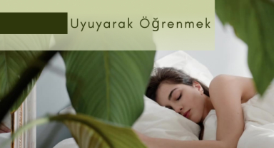 Uyuyarak Öğrenmek Mümkün Mü?