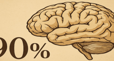 İnsan Beyni Gerçekten Sadece %10’unu mu Kullanır?
