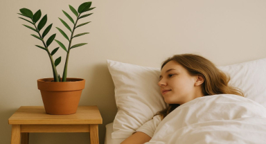 Sabah İlk Gördüğümüz Nesnenin Günün Duygusal Tonunu Belirlediği Keşfedildi
