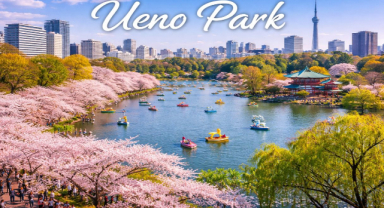 Ueno Park: Tokyo’da Sakura Ağaçları ve Kültürle İç İçe Bir Park